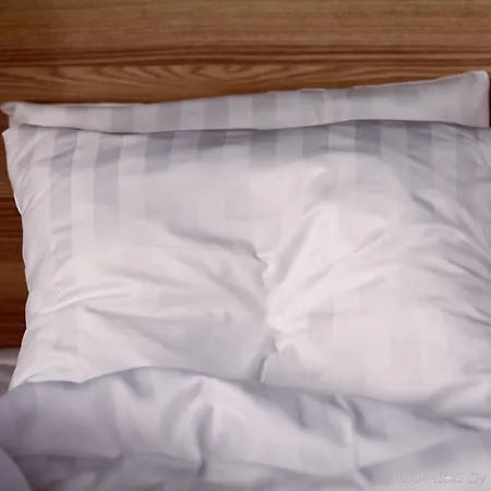 Ξενοδοχείο Scandic Vulkan